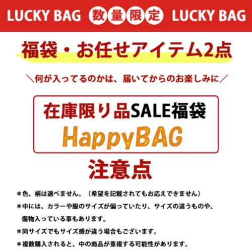 福袋 レディース 2点入り福袋  ニットが2点入り