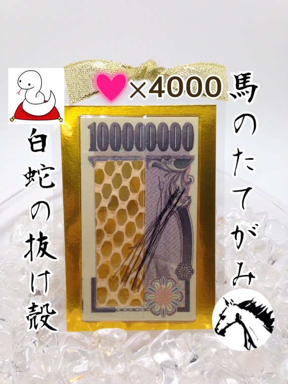 お気に入り4100件突破‼︎ 白蛇の抜け殻＆馬のたてがみ お守り【台紙ありタイプ】