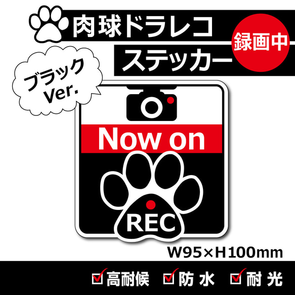 【肉球ドラレコステッカー／ブラックVer.】ドライブレコーダーステッカー／防犯カメラステッカー