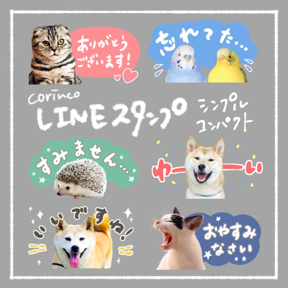 オリジナルLINEスタンプ｜80種類から選べる｜コンパクト｜シンプル｜ペット｜犬｜猫｜corinco