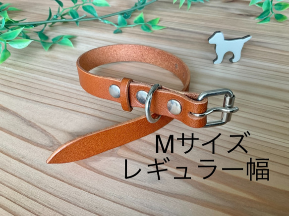 本革栃木レザー レギュラー幅　Msize (22cm~28cm) 犬の首輪