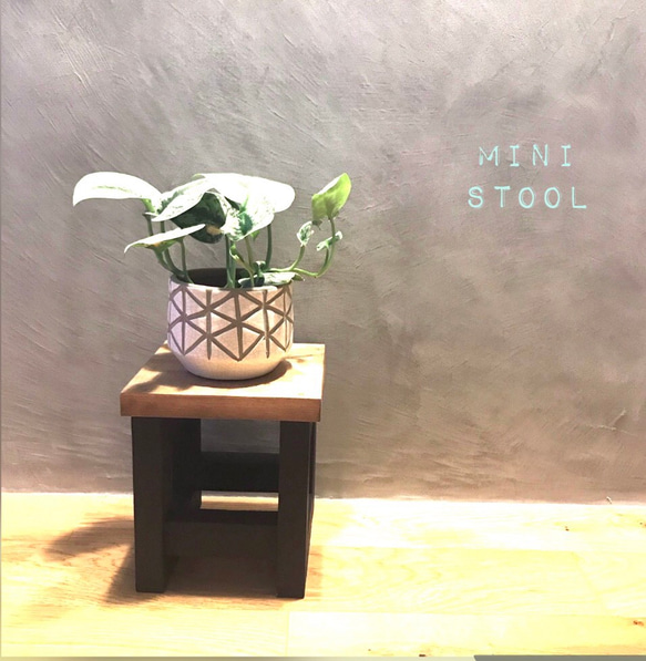 木目のキレイな mini stool / 観葉植物 /