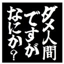 ダメ人間ですがなにか？ おもしろ カー マグネットステッカー 13cm