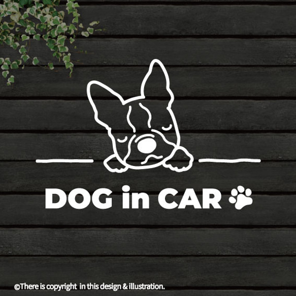 DOG IN CAR/ボストンテリア【カッティングステッカー】手書きわんこ