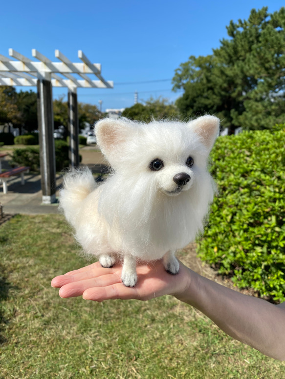 愛犬ちゃんのそっくりなリアルなペット人形をお作りします！　羊毛フェルト　犬　オーダー　ぬいぐるみ　愛犬　　ペット　リアル