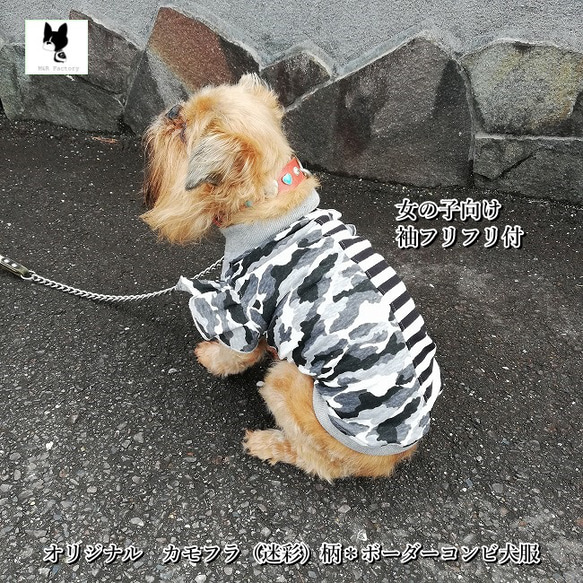 多頭飼いに・女の子向け・袖フリルが可愛いカモフラ（迷彩）柄＊ボーダー犬服2411　#ボストンテリア #フレンチブルドッグ