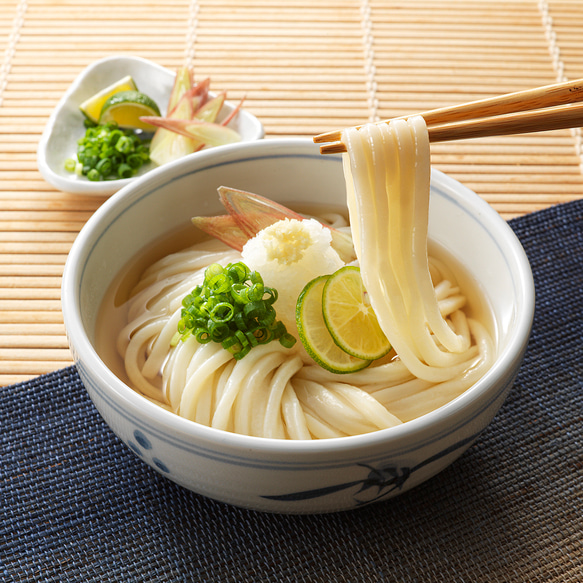 【つゆ付手提げ袋】本場讃岐うどん　2人前５袋　10食分　さぬきうどん 半生うどん うどん  ギフト お中元