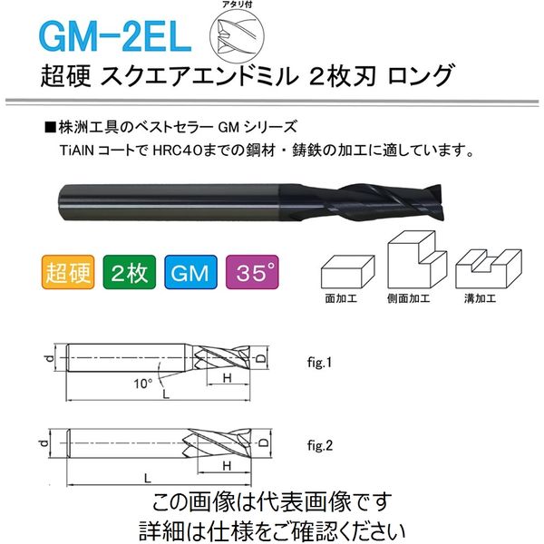 株洲ダイヤモンド切削工具 超硬 スクエアエンドミル 2枚刃 ロング GM-2EL-D16.0 1本（直送品）