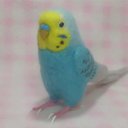 リアルサイズ♪ セキセイインコ レインボ－スカイブル－ budgie 虎皮鸚鵡 羊毛フィギュア 羊毛フェルト 鳥のオブジェ リアルバード 受注制作