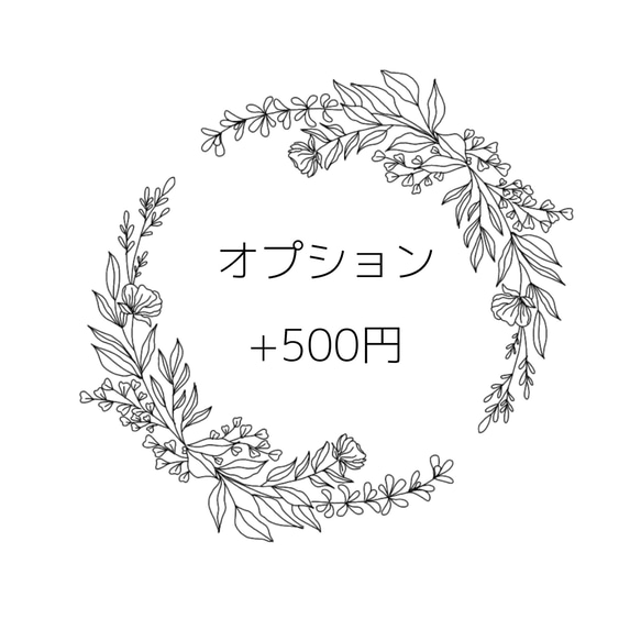 オプション500円