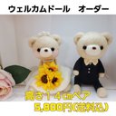 ウェルカムドール  高さ１４㌢ペア  ご購入前にメッセージ下さい(ˊ˘ˋ*)♡