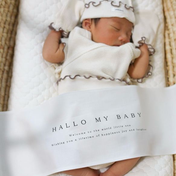 【即納】 HALLO MY BABY タペストリー　ニューボーンフォト　ウェルカムベビー　新生児　命名書　マンスリー