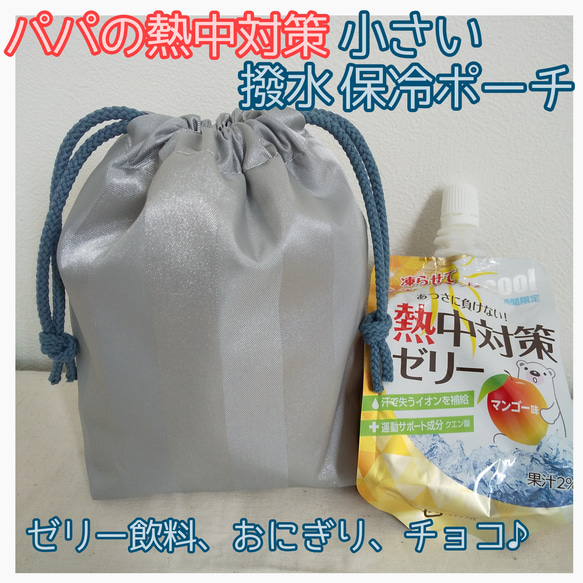 洗える保冷ポーチ 撥水 保冷巾着 保冷バッグ ミニ おにぎり 撥水 熱中症対策 熱中対策 パウチ ゼリー飲料 保温