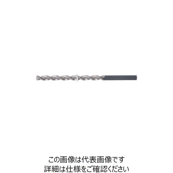 グーリングジャパン（GUHRING） HSS-ストレートドリル #503 503 3.03 1セット（2本）（直送品）