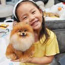 【オーダーメイドペット】羊毛フェルト、うちの子　犬ぬいぐるみ、フェルト犬、羊毛犬、肖像画、犬猫人形 プレゼントやギフトに