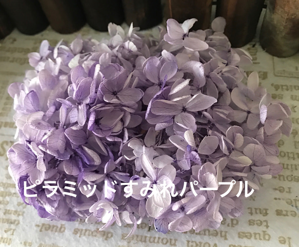 大地農園ピラミッド新色❣️すみれパープル紫陽花小分け❣️ハーバリウム花材プリザーブドフラワー