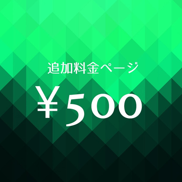 追加料金500円