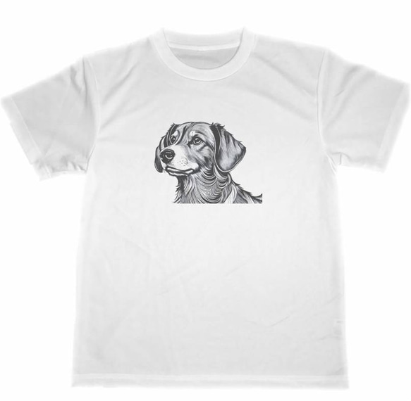 【お歳暮】ダックスフンド　ドライ　Tシャツ　３　ダックスフント　イヌ　グッズ　犬　ミニチュアダックス　イラスト　リアル_画像1