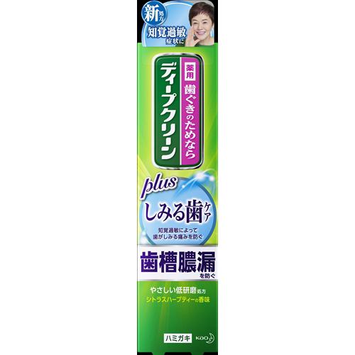 花王ディープクリーン 薬用ハミガキ しみる歯ケア100g