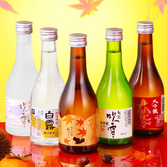 【秋限定】日本酒 秋あがり入り 飲み比べセット ミニボトル 300ml 5本 小瓶 辛口 お酒 新潟 高野酒造