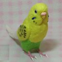 リアルサイズ♪ セキセイインコ イエロ－ハルクイン  budgie 虎皮鸚鵡 羊毛フィギュア 羊毛フェルト 鳥のオブジェ リアルバード 受注制作