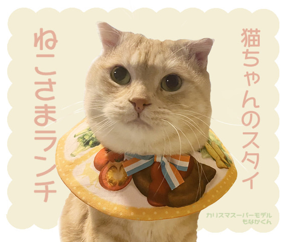 【猫ちゃんのスタイ】ねこさまランチ