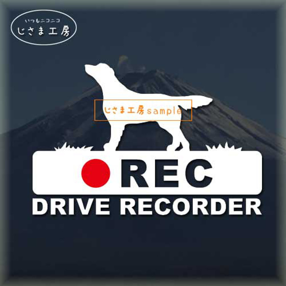 フラットコーテッドレトリバーの白シルエットステッカー後方注意!!『DRIVE　RECORDER』