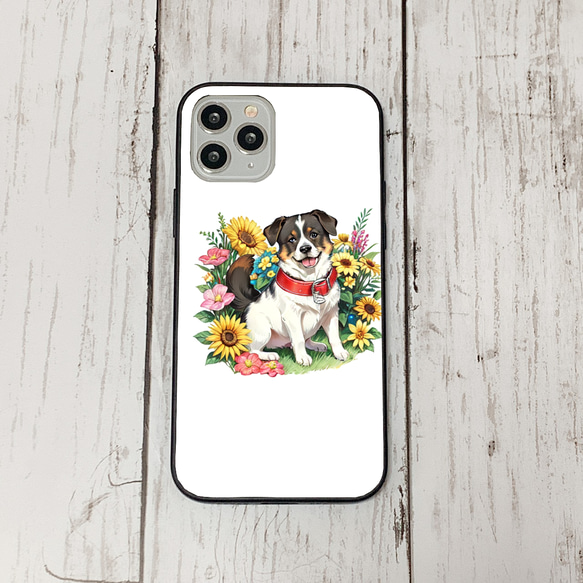 iphoneケース3-5-43 iphone 強化ガラス 犬・いぬ・ワンちゃん 箱14 かわいい アイフォン iface