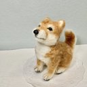 ⁂ちょこっとおすわり　柴犬⁂ 羊毛フェルト　ミニチュア　ぬいぐるみ