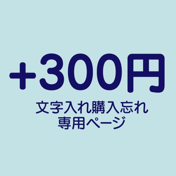 文字入れ　注文忘れ専用ページ