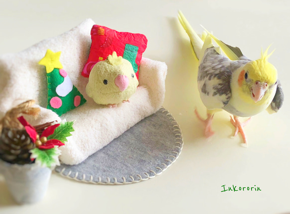 オカメインコ　クリスマスカード3枚セット⑤