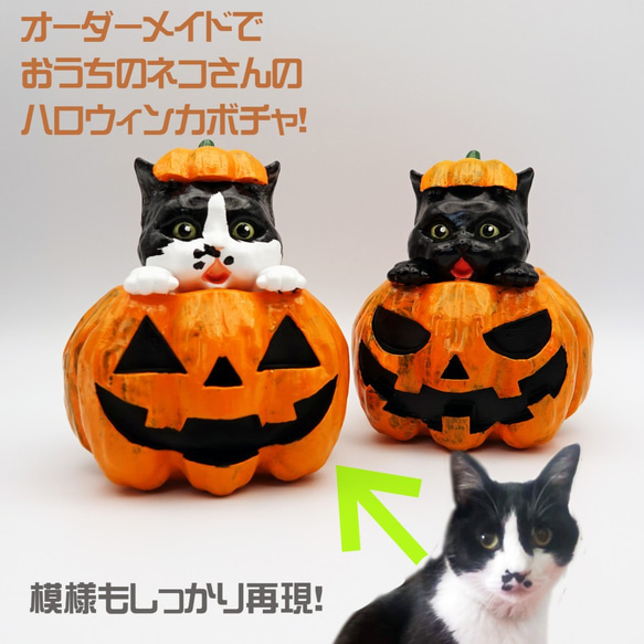 【オーダーメイド】猫ちゃんのびっくりハロウィンかぼちゃ