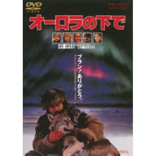 【DVD】オーロラの下で