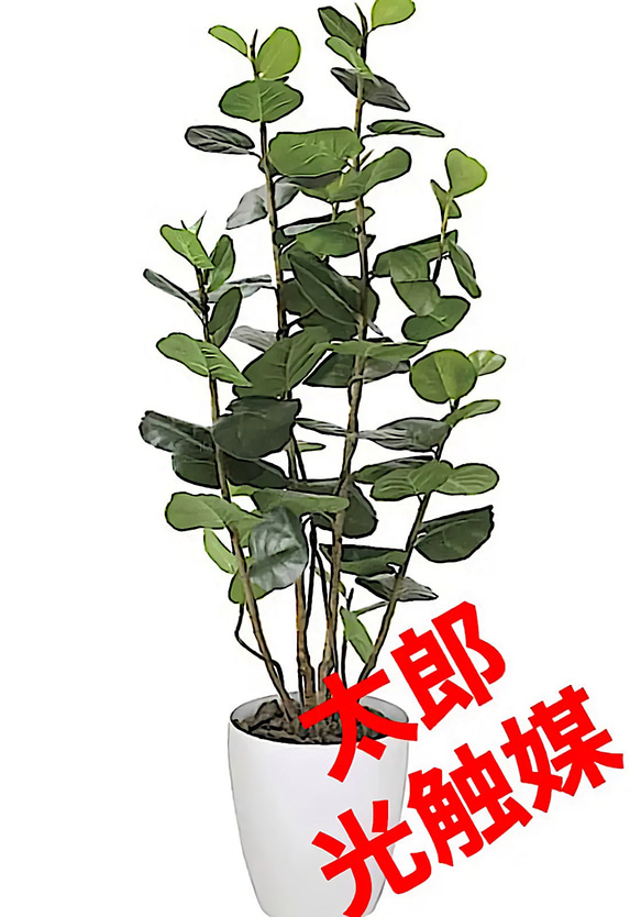 光触媒　人工観葉植物　ウォールグリーン　フェイクグリーン　フラワー　ハンドメイド　シーグレープ17