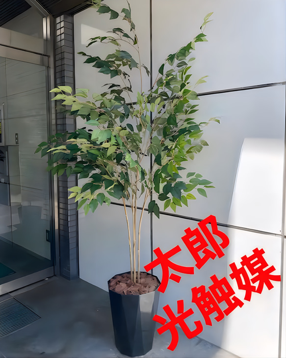 光触媒　人工観葉植物　ウォールグリーン　フェイクグリーン　ベンジャミンフィカス