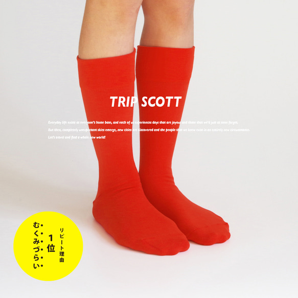 キナリノ掲載 赤 靴下 カラーソックス red フィット「TRIP SCOTT」 丈夫 速乾 カジュアル