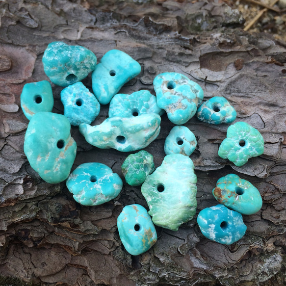 Fox Turquois beads 17pcs ターコイズビーズ