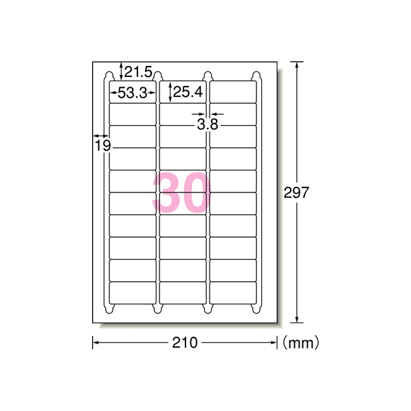 エーワン ラベルシール A4 30面 四辺余白角丸 22枚 F857430-72230