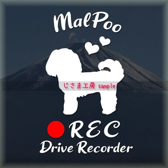 わんちゃんの可愛いドラレコステッカー!!『DRIVE　RECORDER』