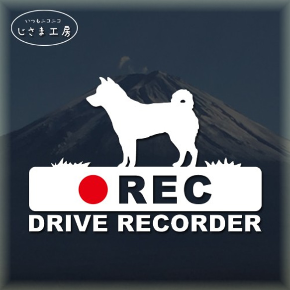 柴犬の白シルエットステッカー後方注意!!『DRIVE　RECORDER』