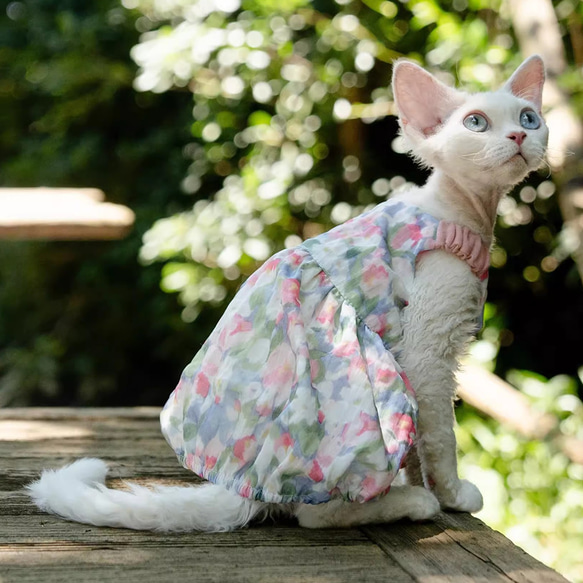 〈オーダーメイド可能〉猫服 犬服 ペット服 ネコ きれいな花柄プリンセスワンピース スフィンクス猫 姫スカート ドレス