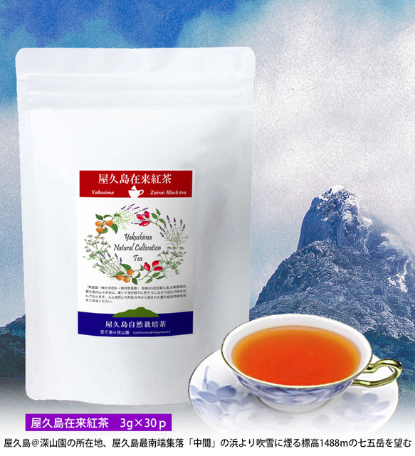 ＜私たちが作った屋久島在来紅茶＞ティーバッグ 3g×25p 無農薬/無化学肥料/残留農薬ゼロ