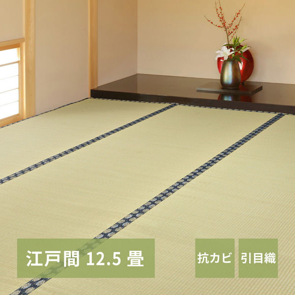 【玄関渡し】 萩原 い草カーペット　谷川（たにがわ）　江戸間12.5畳  440×440cm（直送品）