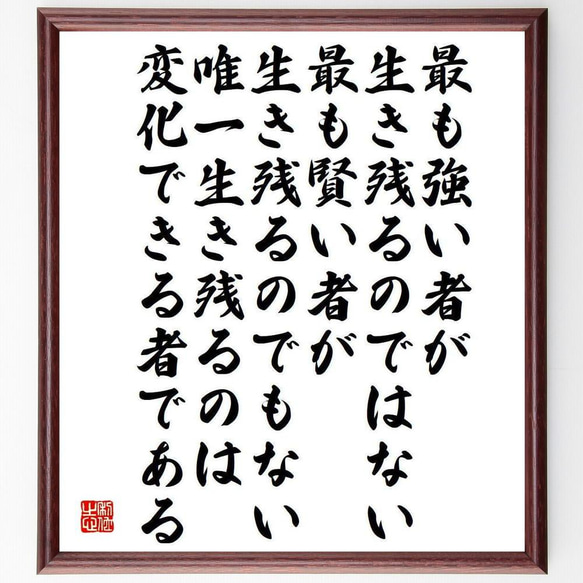 チャールズ・ダーウィンの名言「最も強い者が生き残るのではない、最も賢い者～」／額付き書道色紙／受注後直筆(Y5265)