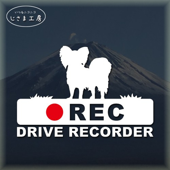 パピヨンの白シルエットステッカー後方注意!!『DRIVE　RECORDER』