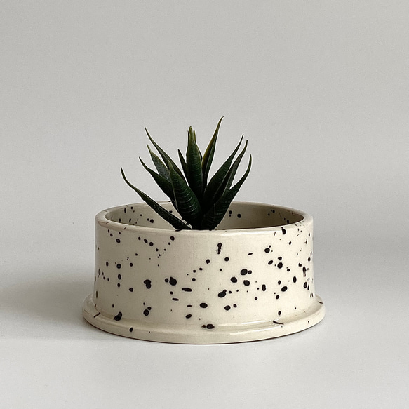 flower pot｜FLAT