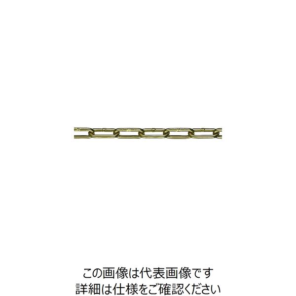 水本機械製作所 水本 チューブ保護アルミカラーチェーン ゴールド 6HALC-G 3.1～4m 6HALC-G-4C 1本 157-4585（直送品）