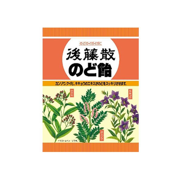 うすき製薬 後藤散のど飴 80g FCT7361