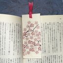 和紙しおり　桜「送料無料」