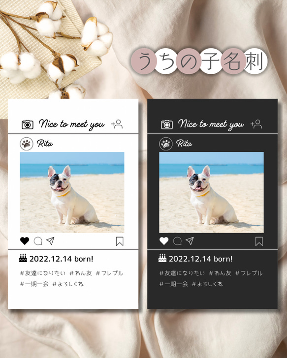 両面100枚 ペット名刺 うちの子画像入り　いぬ　セミオーダー名刺 オフ会　犬名刺　インスタ風　選べる背景色　白　黒